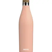 SIGG Meridian Trinkflasche Shy Pink 0.7 L Trinkflaschen 1 St