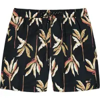 Barts Badehose Herren Fervis Shorts Dark Grey-L