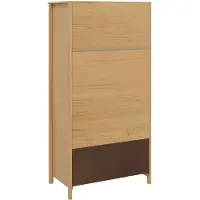 vidaXL Kleiderschrank mit Schubladen HILL Honigbraun 84 x 50 x 170 cm