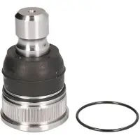 555 Traggelenk SB-1772