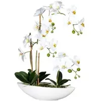Creativ Green künstliche Pflanze Phalaenopsis x4, ca 60cm weiss, im Keramikschiff 37x11x9cm, mit Steine, Real Touch