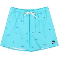 Quiksilver Boardshorts "Stretch Printed Volley 16", Herren, Gr. XL, blau (aqua spaced out), Obermaterial: 92% Polyester, 8% Elasthan., Hosen Boardshorts
