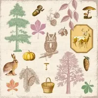 Mank Serviette Airlaid Aram, 40 x 40 cm, 50 Stück - Herbst Waldtiere