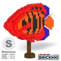 Jekca Flame Angelfish 01 ST19TRF10