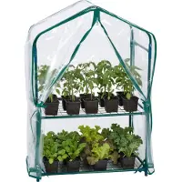Relaxdays Balkon Gewächshaus, 1er Pack, PVC-Folie, Stahl, HxBxT: 95 x 59 x 39 cm, Tomatenhaus 2 Etagen, grün/transparent