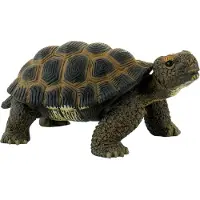 BULLYLAND Landschildkröte, 3 Jahr(e), Grün