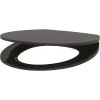 Delabie WC-Sitz Slim BCN schwarz Duroplast mit Deckel mit Abs-Auto.