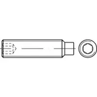 F. REYHER Nchfg. GmbH & Co. KG Gewindestift ISO 4028 Zapfen/Innensechskant M 5 x 4 45 H