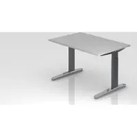 Proregal - Büromöbel mit top Leistungsdaten Schreibtisch Mika | Grau | Graues Gestell poliert | BxT 120x80cm | Arbeitshöhe 65-85cm | höhenjustierbar, 1cm Raster | C-Fuß-Gestell | Rechteckform