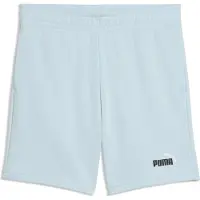 Puma Essentials 2 Color No. 1 Logo Shorts TR B fresh water (48) 176