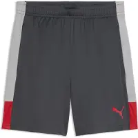 Puma Herren Shorts IndividualLIGA Training Shorts