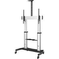 StarTech.com .com TV-Wagen - Fernsehständer mit Rollen für 60-100 Zoll-Displays (100kg)
