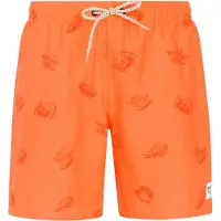 Protest Hector Badeshorts