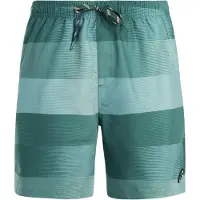 Protest Lomond Badeshorts