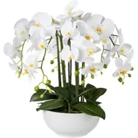 Creativ Green Kunstblume Orchidee, Phalaenopsis, weiß, in Keramik-Schale, Höhe 54 cm
