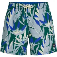 O'Neill Herren Badeshorts PRINT 16'' SWIMSHORTS