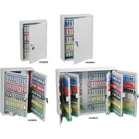 Phoenix - KC0603K Schlüsselschrank -100 Schlüssel - Schlüsselschloss - Grau