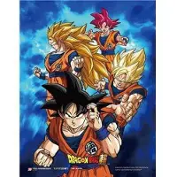 Pyramid Dragon Ball Super Cadre 3d Lenticulaire Power Of Saiyans