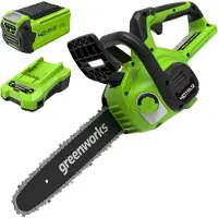 Greenworks Kraftvolle, leichte und kompakte 30 cm drahtlose Kettensäge mit automatischer Schmierung