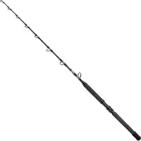 Shimano Fishing Tyrnos B Stand Up Spiral Bootsrute Silber 1.65 m / 50 Lbs Silber 1.65 m