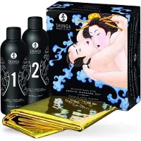 Shunga - Body to Massagegel mit Aroma Exotic Fruits 500 ml