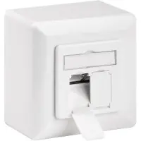Goobay Cat.6A Universaldose inkl. Aufputzmontage-Rahmen, 2x RJ45, geschirmt, weiß