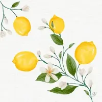 Duni Bio Dunisoft Serviette 40 x 40 cm Lemon Fiesta, 360 Stk/Krt (6 x 60 Stk)