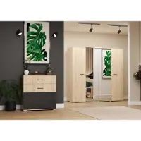 FABRYKA MEBLI IDCZAK 2-er Set Drehtürenschrank BARI 200cm Kommode BARI 90cm 4S San Remo Sand/Schwarz