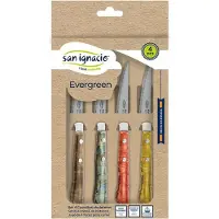 San Ignacio Set de Evergreen Steakmesser BGEU-6076 Mehrfarbig Edelstahl (4 Stück)