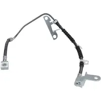 Delphi Bremsschlauch LH6925, Rechts