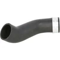 THERMOTEC Ladeluftschlauch DCW189TT