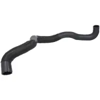 THERMOTEC Kühlerschlauch Wasserschlauch für RENAULT Trafic III Kastenwagen (FG) DWR075TT