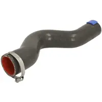 THERMOTEC Ladeluftschlauch DCX106TT