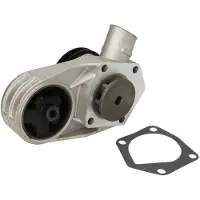 THERMOTEC Wasserpumpe D1S002TT