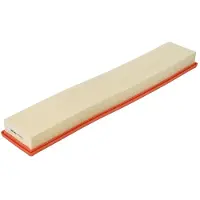 FILTRON Luftfilter AP 070/4