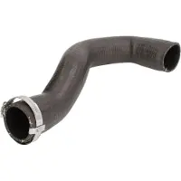 THERMOTEC Ladeluftschlauch DCX095TT