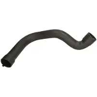 THERMOTEC Kühlerschlauch DWC006TT