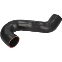 THERMOTEC Ladeluftschlauch DCW112TT