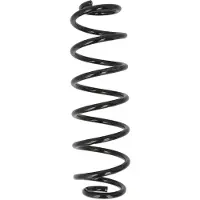 MAGNUM TECHNOLOGY Fahrwerksfeder SS043