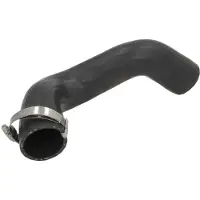 THERMOTEC Schlauch, Luftkühler DCG087TT