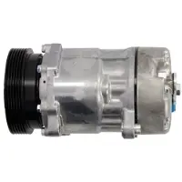 Delphi TSP0159058 Sanden SD7V16 Klimaanlage Klimakompressor PAG 46 für VW GOLF III (1H1) SHARAN (7M8, 7M9, 7M6) POLO (6N2) Polo Schrägheck (6N1)