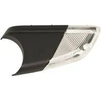 MAGNETI MARELLI Blinkleuchte 351990001360