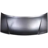 BLIC Motorhaube 6803-00-2036280P