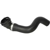 THERMOTEC Kühlerschlauch DWF136TT
