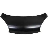 BLIC Motorhaube 6803-00-0501280P