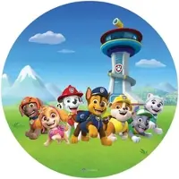 Sanders And Sanders Selbstklebende Runde Tapete Paw Patrol Blau und Grün Ø 70 cm 601292