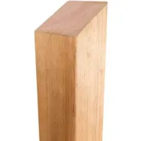 GartenLand Pfosten Abgeschrägt Holz Lärche PEFC für Serie WIEN 9x9x190 cm