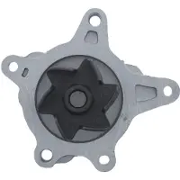 Valeo Wasserpumpe 529540