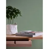 A.S. Création Vliestapete "Attractive" einfarbig uni unifarben glatt Uni Tapete einfarbig Tapeten Wohnzimmer Schlafzimmer Küche Flur Design