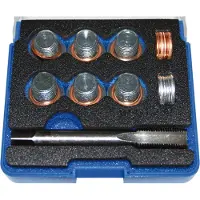 Bgs 151 Reparatur-Set für Öl-Ablassgewinde, M14x1.25